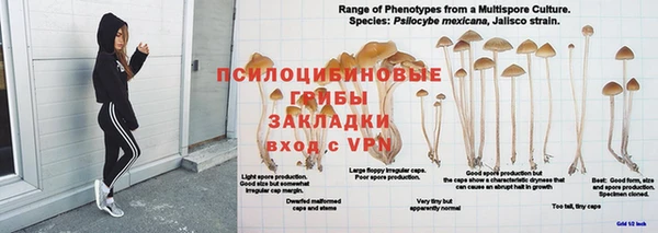 молекула духа Зеленодольск