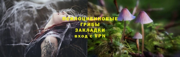 прущие крисы Нефтекумск