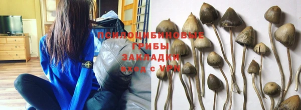 трава Нефтегорск