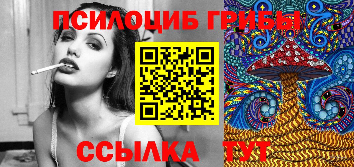 Галлюциногенные грибы Psilocybine cubensis Кириши