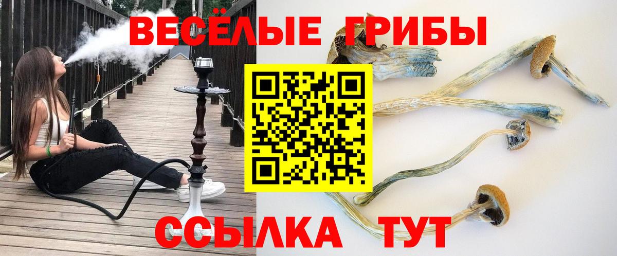 хочу наркоту  Галлюциногенные грибы мухоморы  Вход с VPN  Кириши 