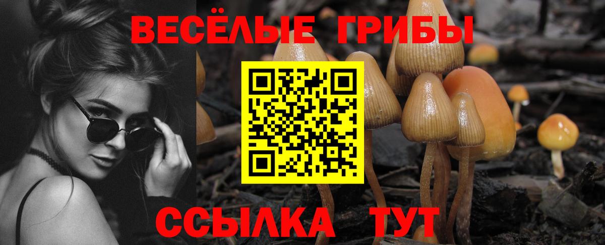 Галлюциногенные грибы прущие грибы Кириши